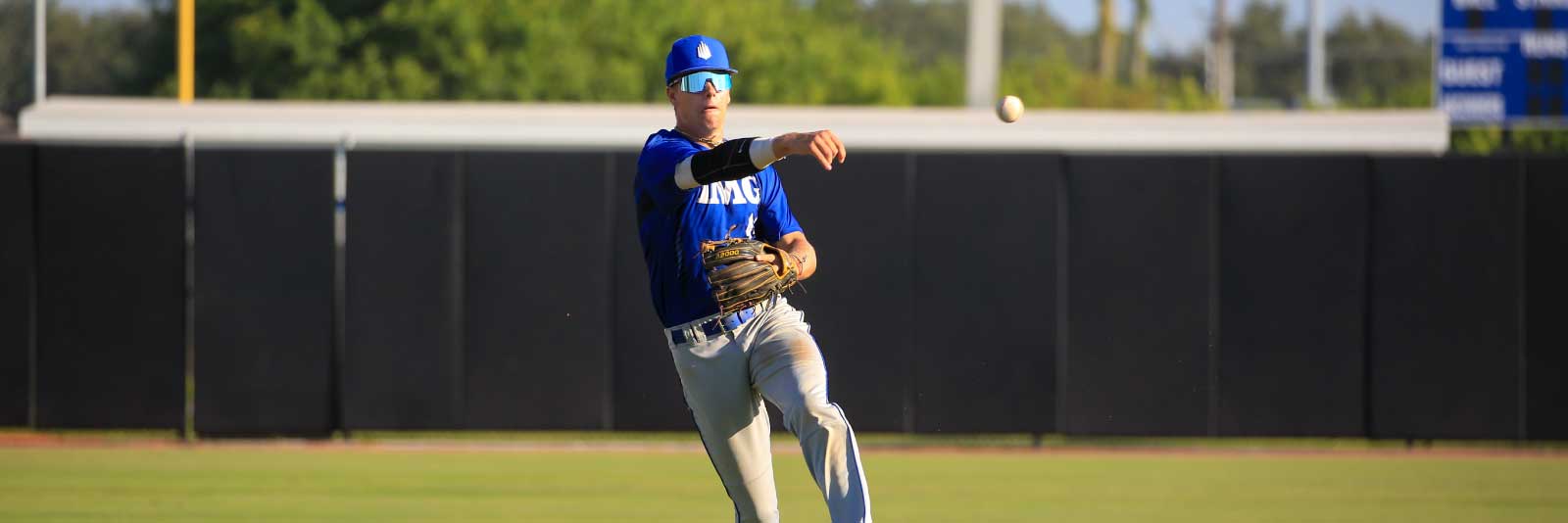 baseball scholarship facts